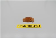 藏品(平背蜞)的圖片